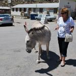 Laughlin_0225 (April 21, 2013)